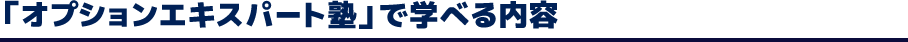 「オプションエキスパート塾」で学べる内容